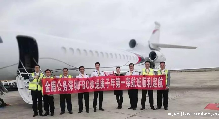 1581162172640787.jpg 4.webp.jpg